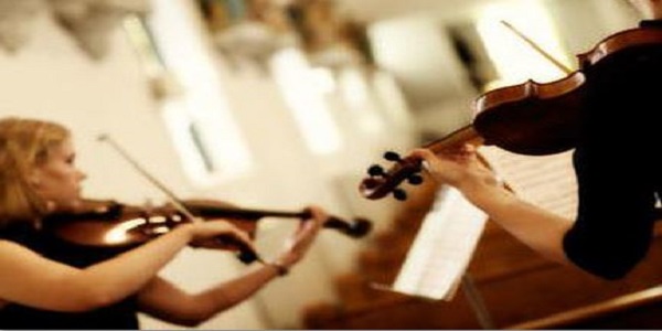Laura Springham Violinists